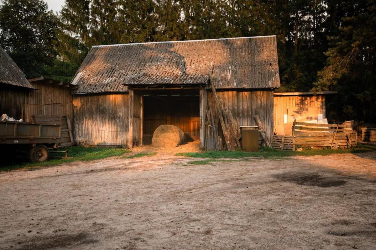 Bauernhof Stajnia Kaliska Łochów